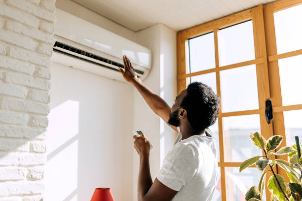 Best Local HVAC companies  in Rogersville, AL